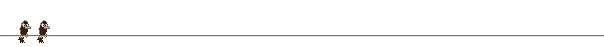 Kraehe Software Solution | Kraehe EDV DL KG